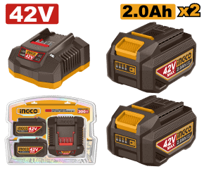 42V Lithium-ion Battery And Charger Kit