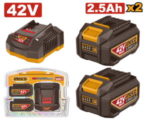 42V Lithium-ion Battery And Charger Kit
